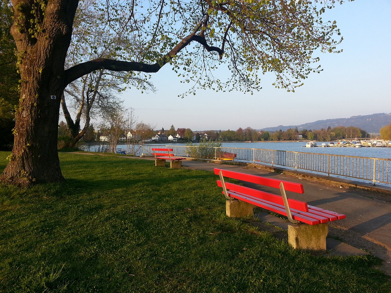 此次的战术 此次的战术