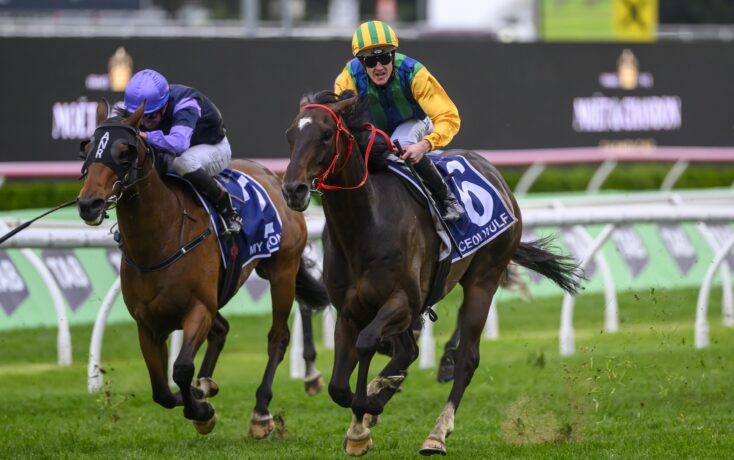 对胜利的渴 对胜利的渴